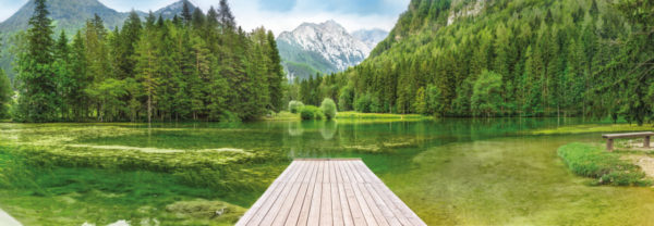 POSTER MURAL REF = 4-538 ; DIMENSIONS = 368 CM X127 CM