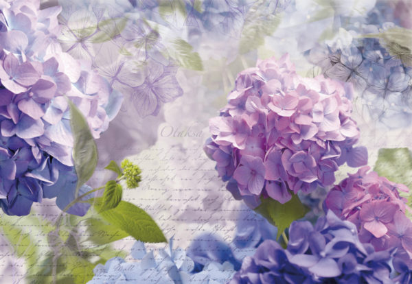 POSTER MURAL REF = 8-705 ; DIMENSIONS = 368 CM X 254 CM