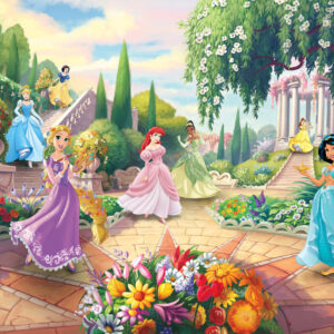 8-4109_disney_princess_park_ma