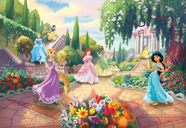 8-4109_disney_princess_park_ma