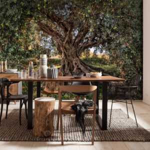 8-531_olive_tree_interieura