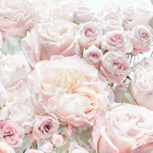8-976_spring-roses_ma
