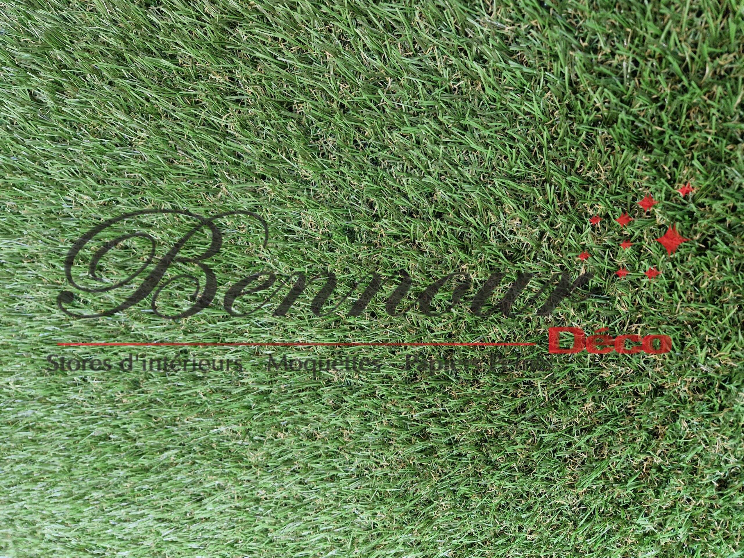 REF = CG SOUL 28-45 (3)