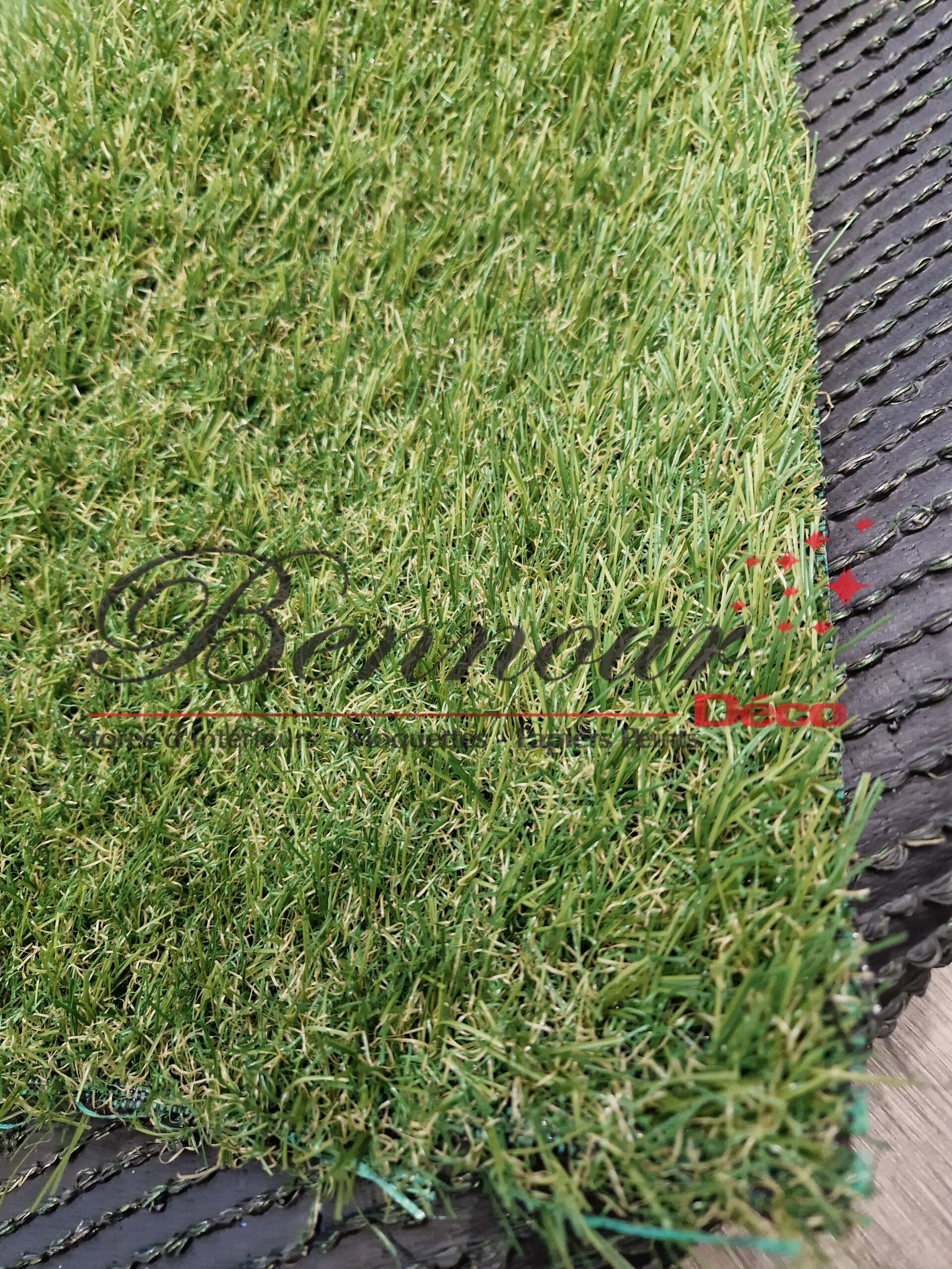 REF = STAR 25 (10)