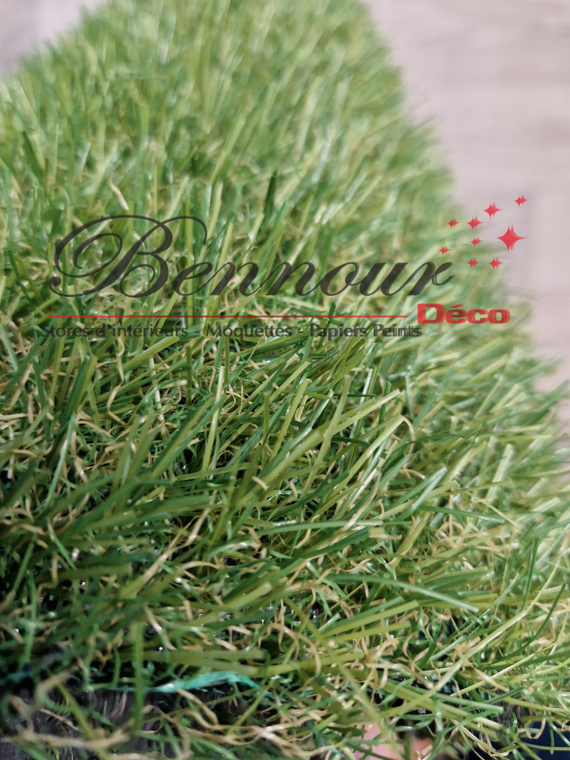 REF = STAR 25 (8)