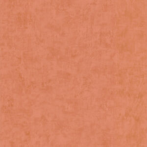 PAPIER PEINT REF = 51203005