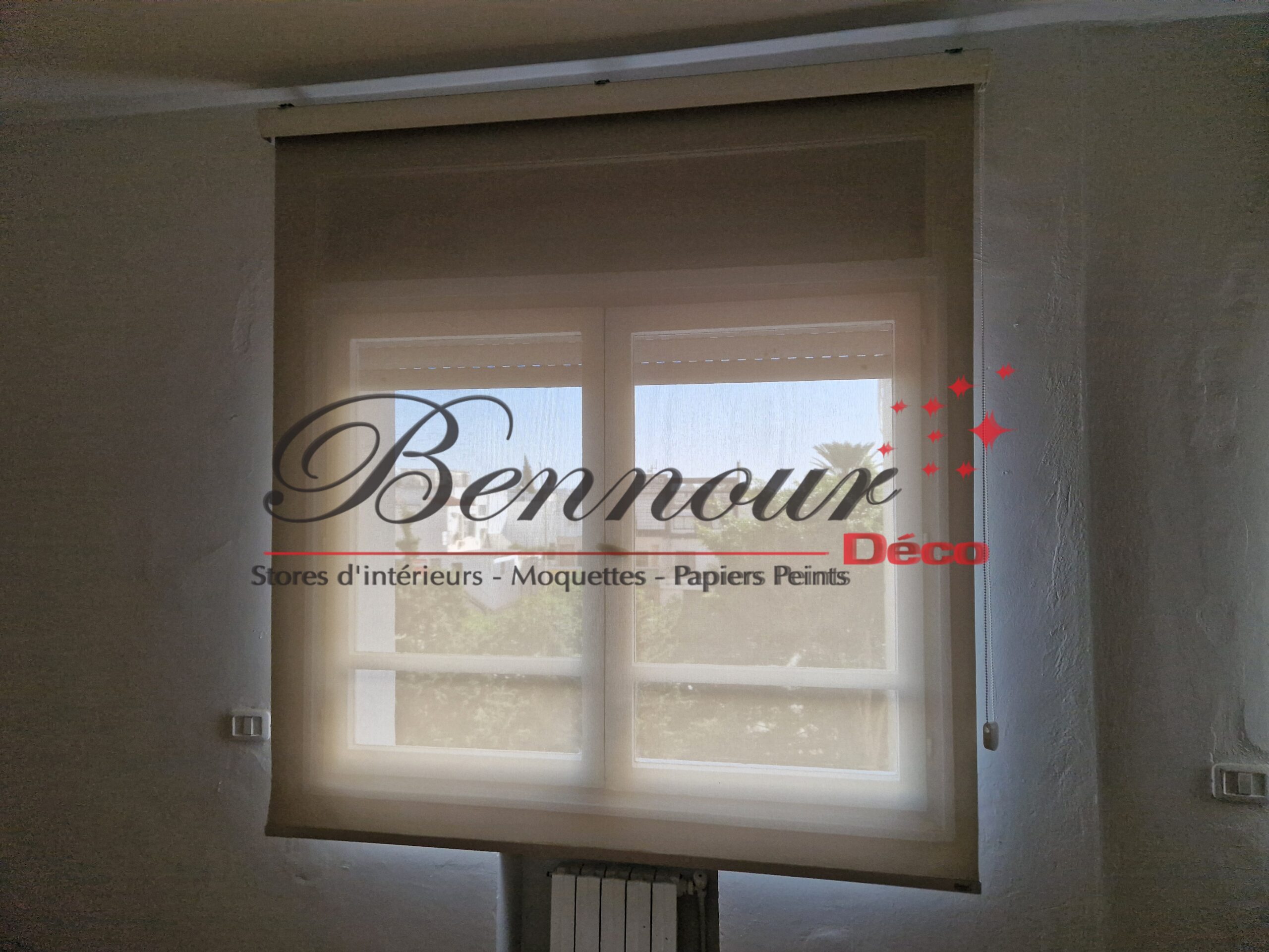 STORE ROULEAU SCREEN (25)