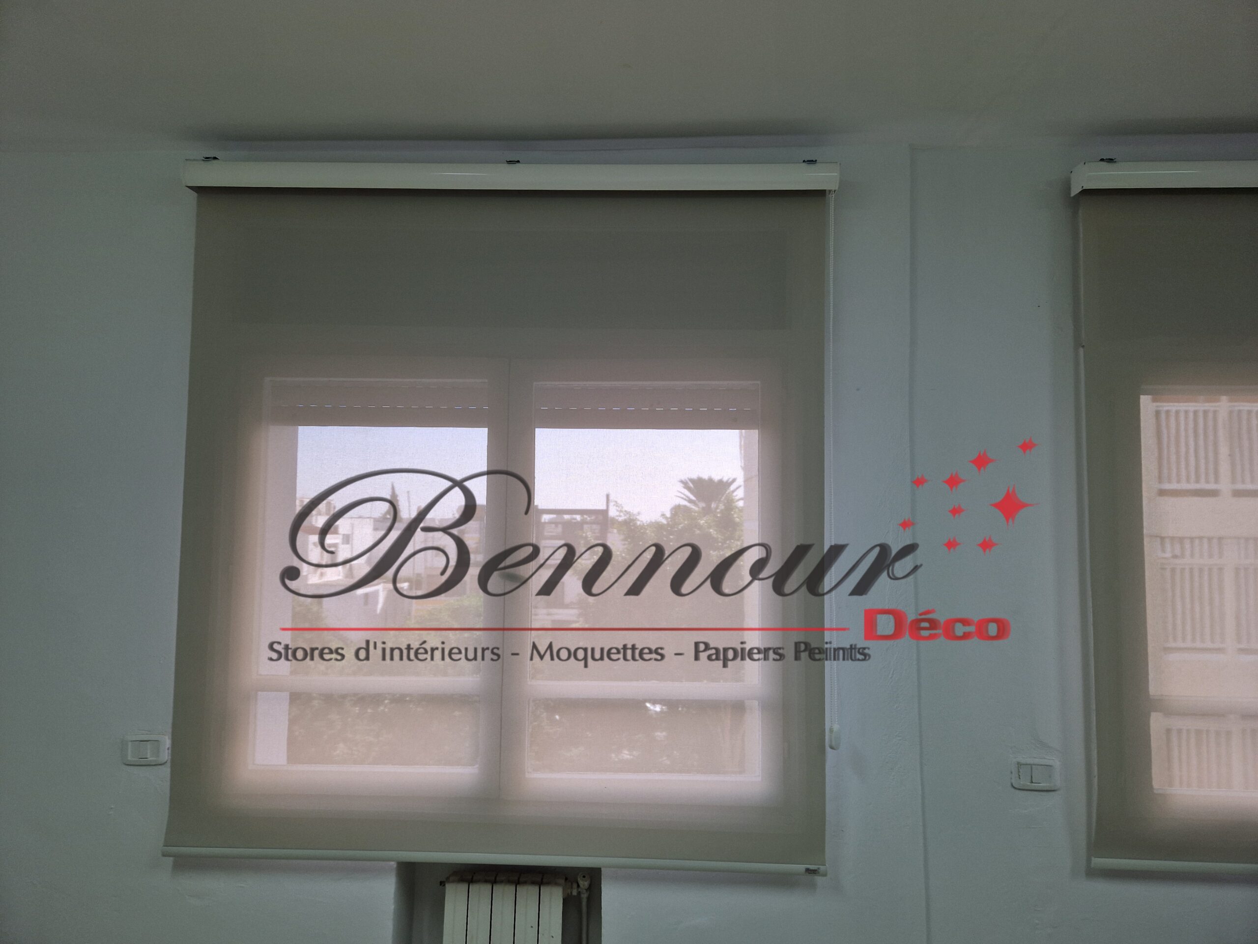 STORE ROULEAU SCREEN (30)