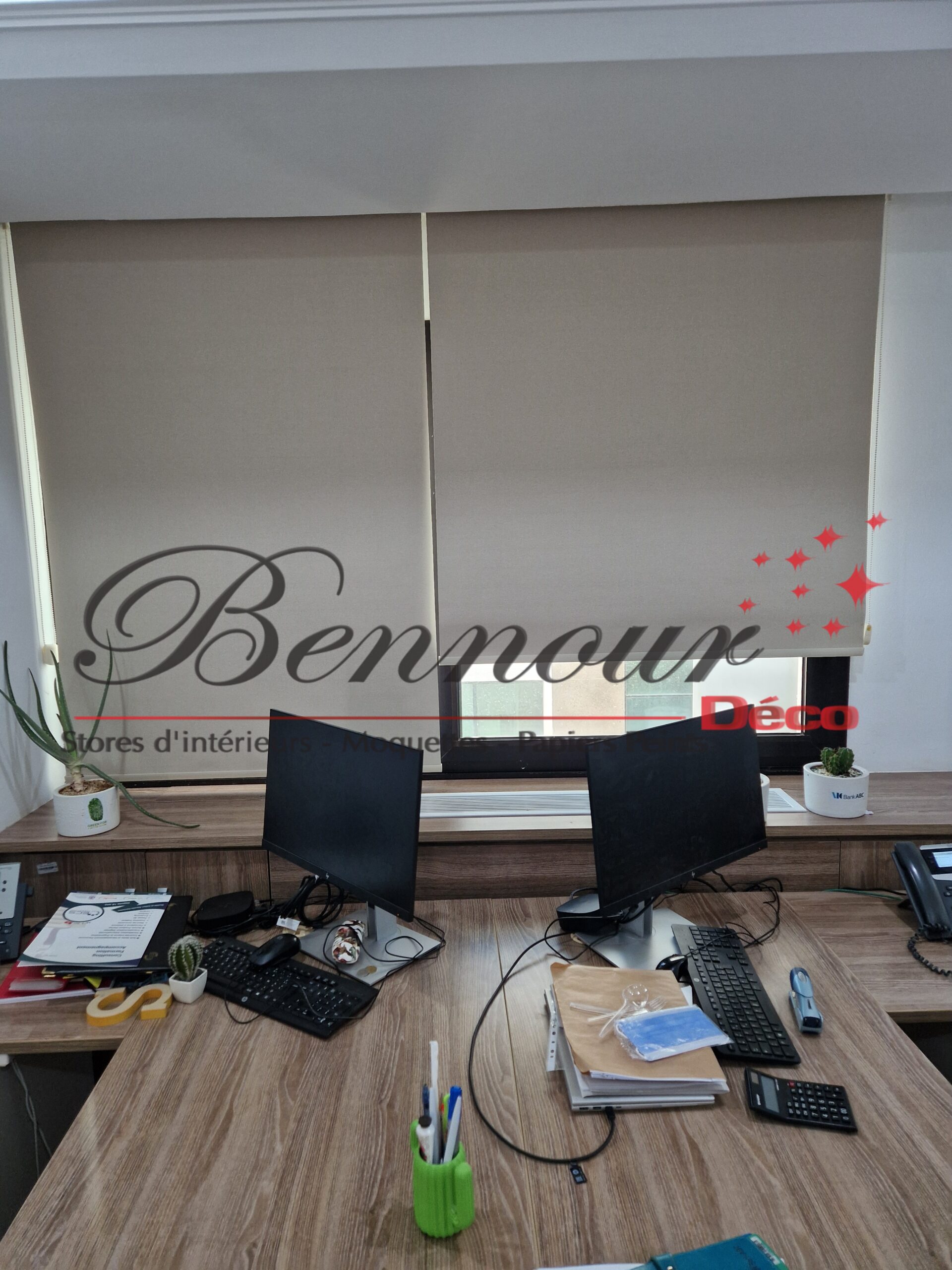 STORE ROULEAU BLACKOUT REF = BN 2660 (16)