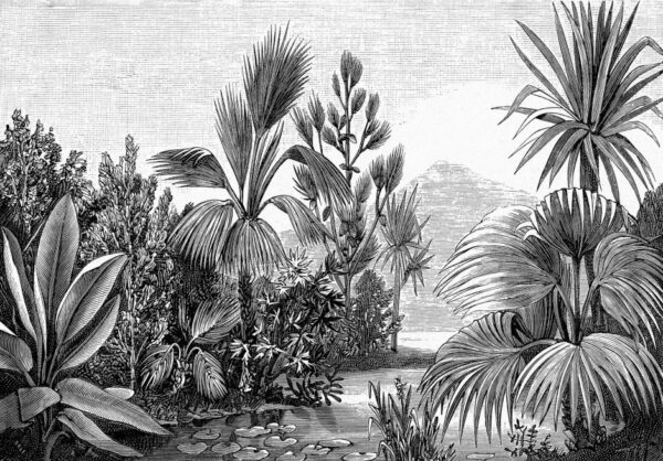 POSTER MURAL REF = 14135 ; DIMENSIONS = 416 CM X 290 CM