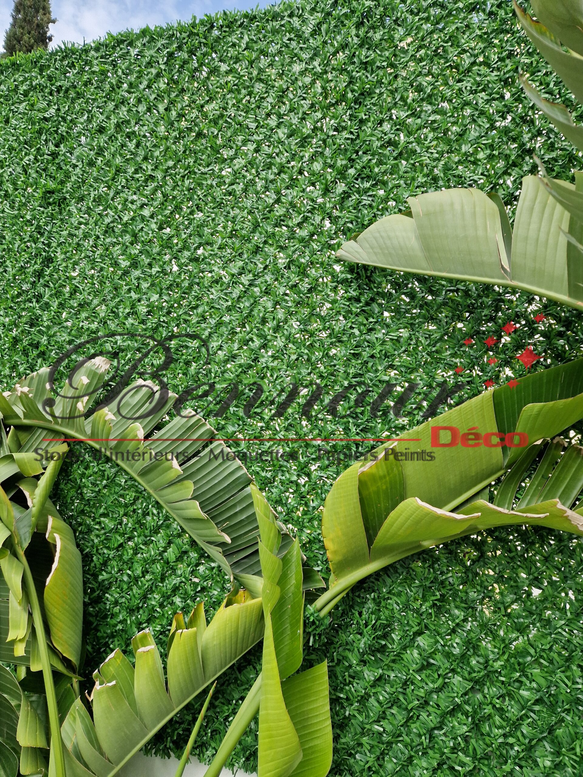 Clôture végétale artificielle