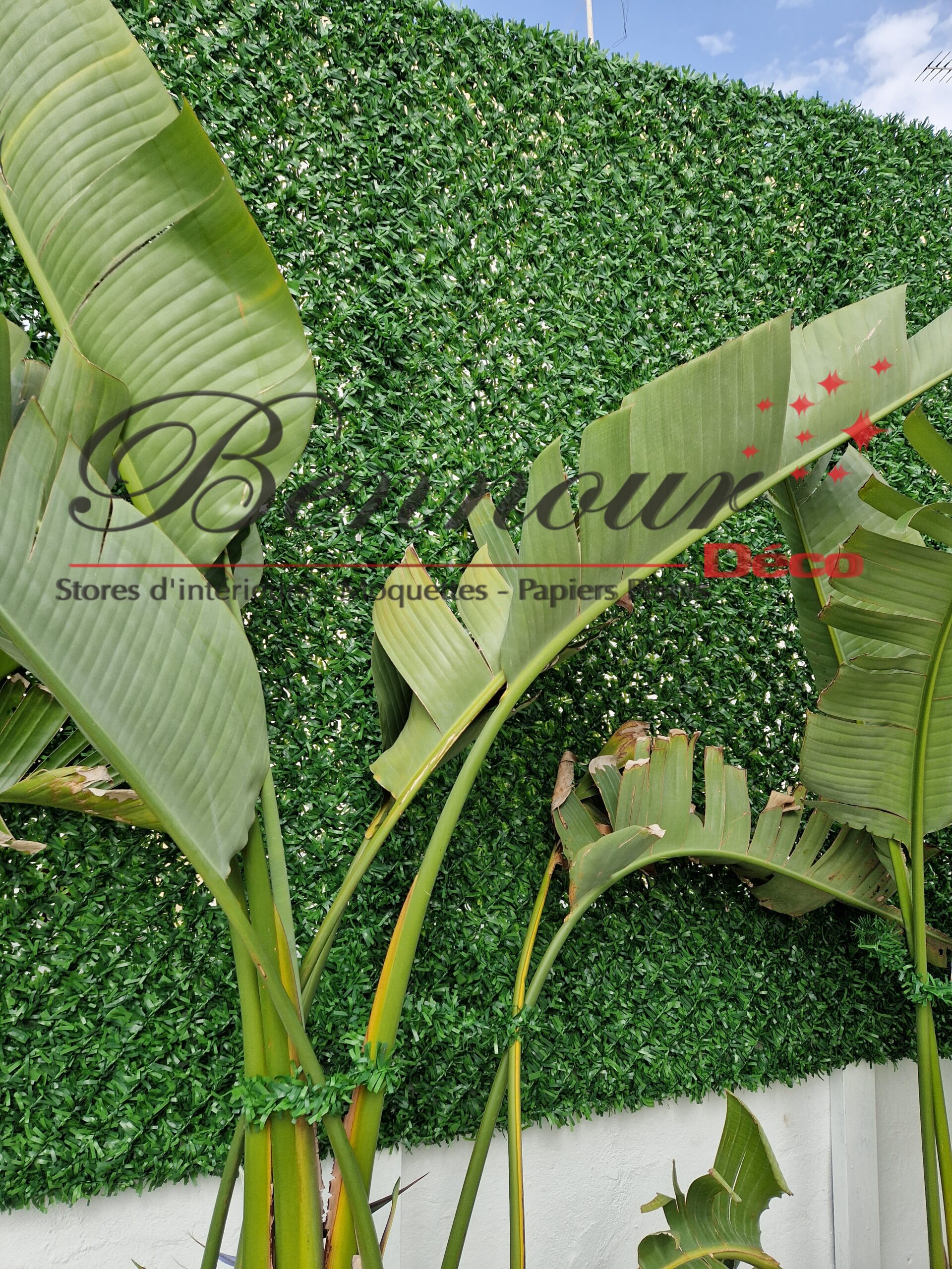 Clôture végétale artificielle