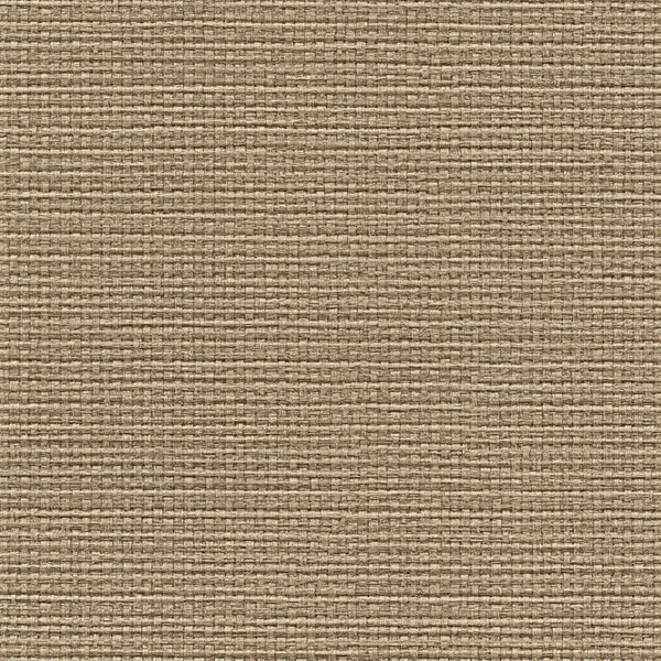 PAPIER PEINT REF = 73529 ; EMILIANA PARATI