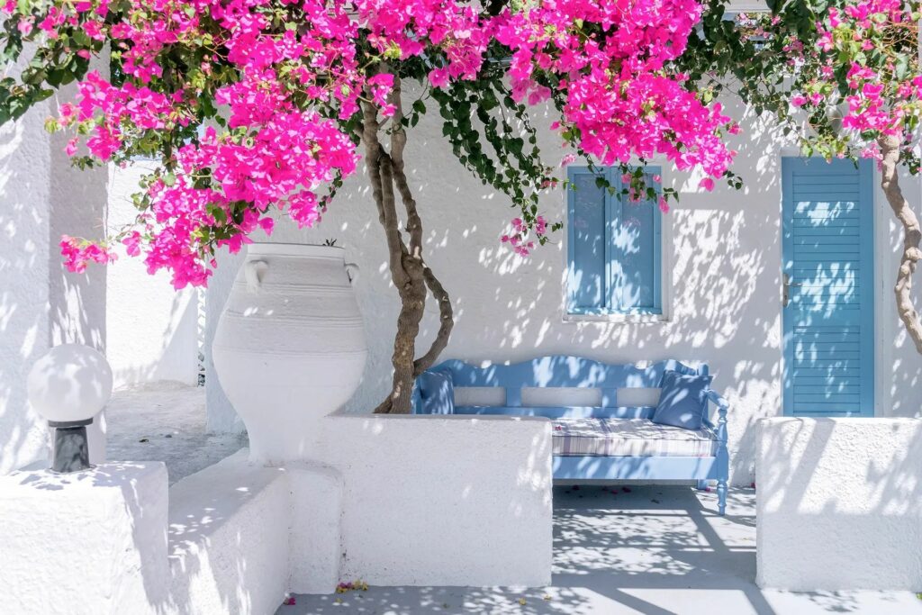 Poster murale theme SIDI BOUSAID