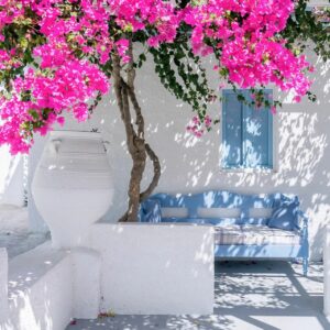 Poster murale theme SIDI BOUSAID