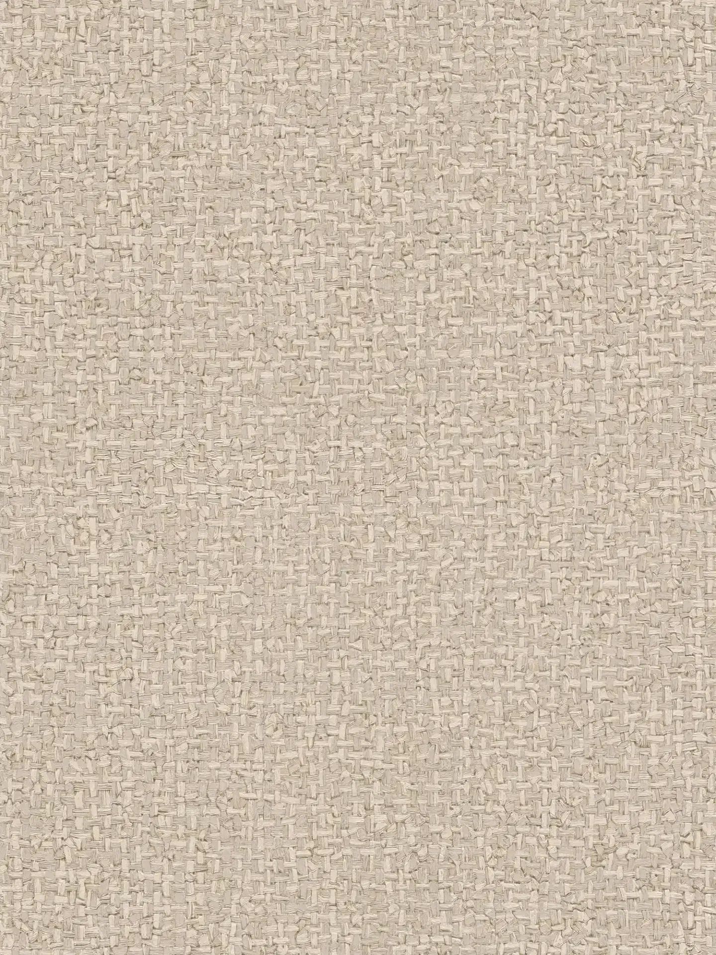 Papier peint intissé beige pour chambres et salon moderne